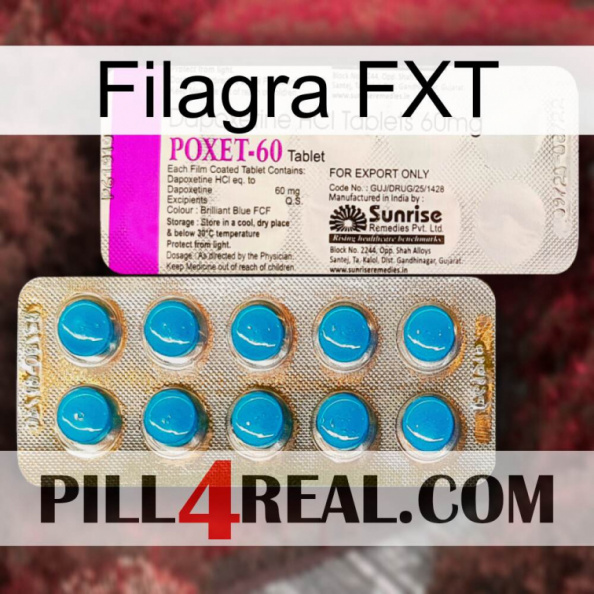 Filagra FXT new07.jpg